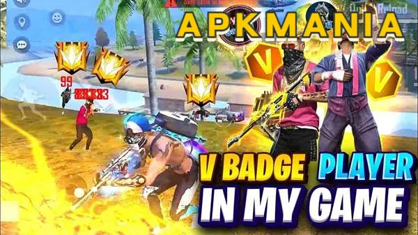 0xkibo 2
